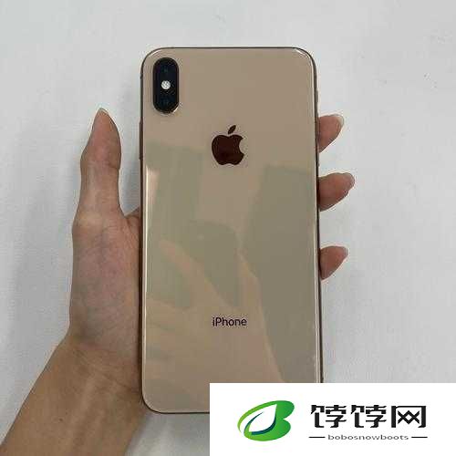 俄罗斯原装 iPhone XS Max 品质之选