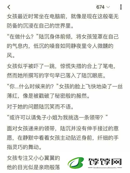陆沉塞玩具 bp：奇趣玩法大揭秘