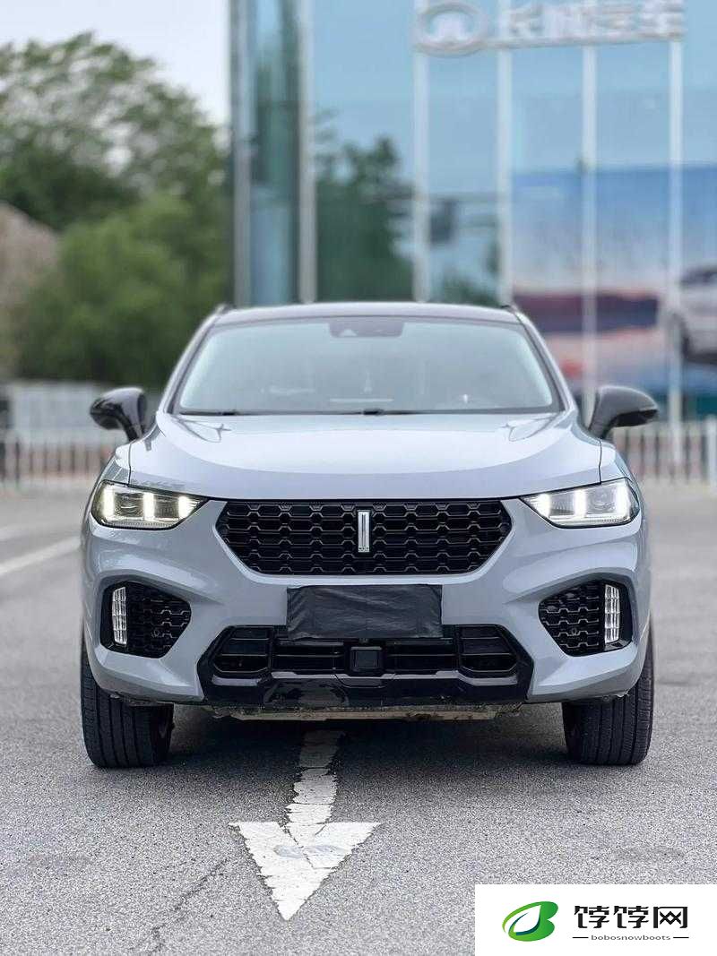 weyvv5国产的suv：探秘国产 SUV 新势力，weyvv5 能否引领潮流