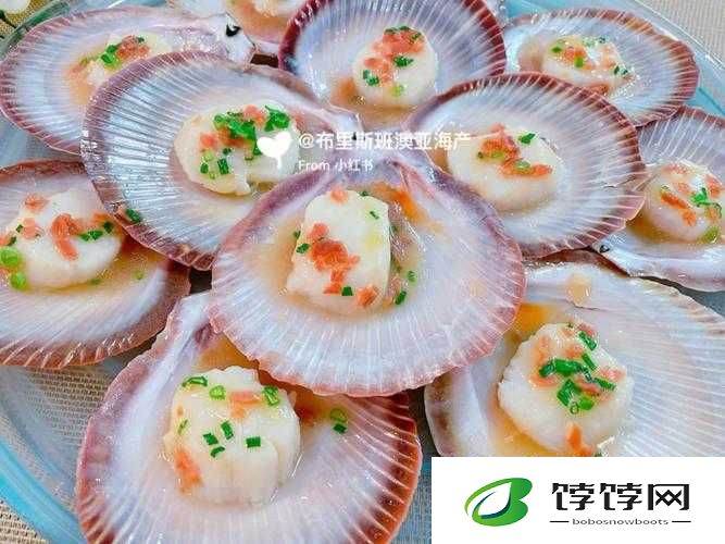 打开扇贝就可以吃火腿肠-界面简约很高级新体验