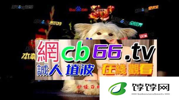成品网站源码 78w78 不用下载：便捷获取之道