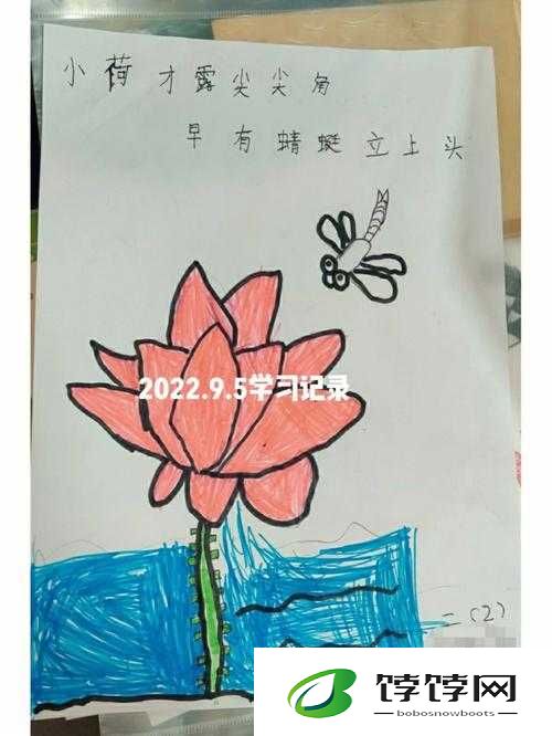 沦为教具的小诗：生命的启迪与思考
