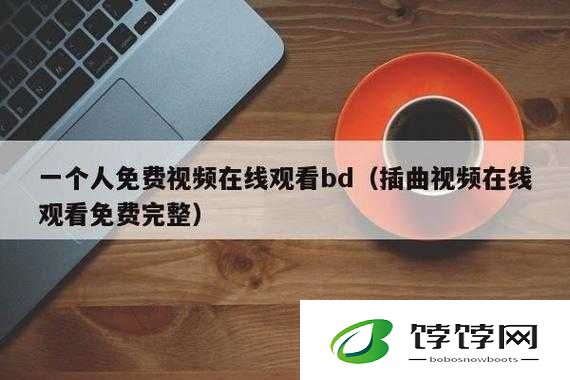 插曲的视频在线播放免费观看高清-精彩呈现