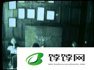 120 秒动态 gif 小视频：精彩呈现