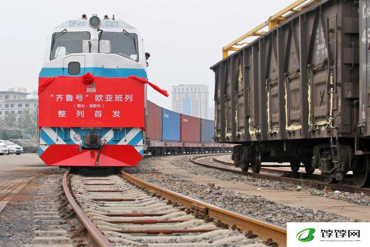 欧亚专线 S 码和 W 码入口一样吗：探寻背后的神秘差异