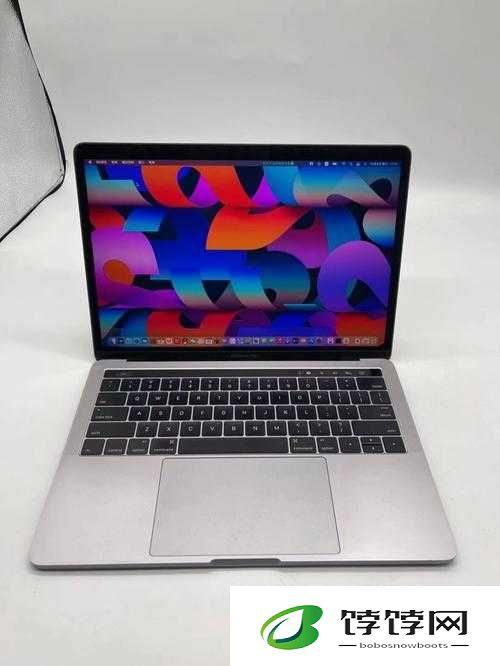 16 岁日本学生 Macbook-Pro 评测已上映：引发关注
