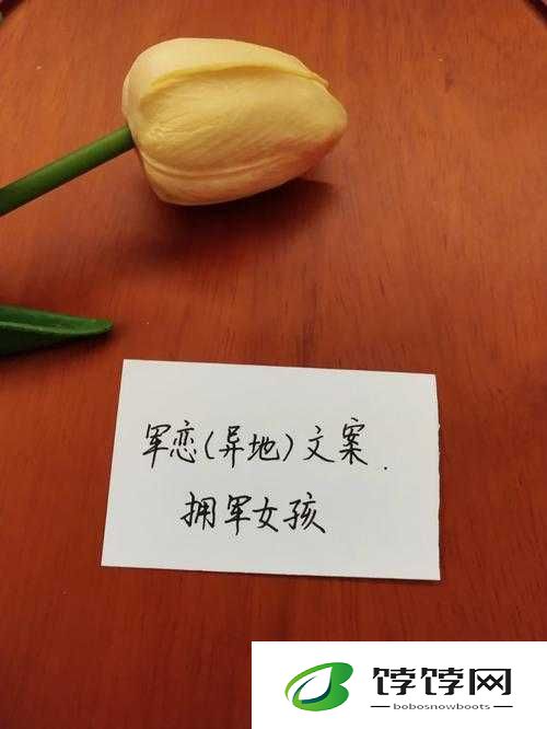 异地军恋一见面就要八次：爱与坚守的极致表达