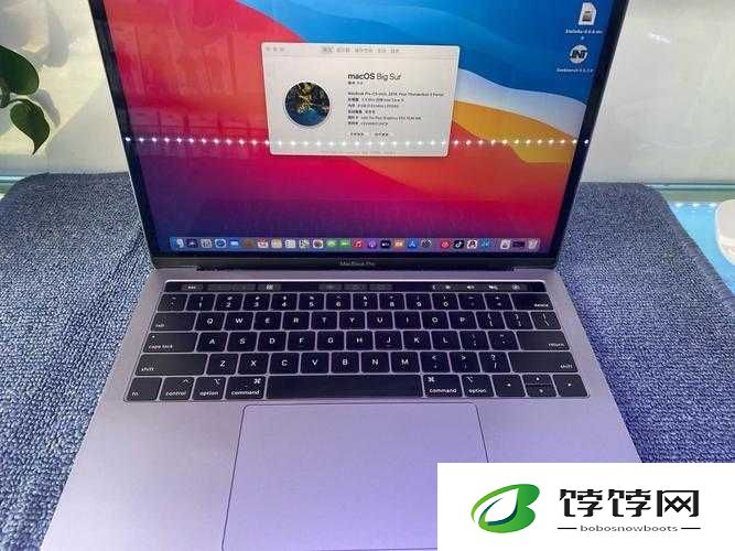 18 岁 MacBook-Pro：45 岁生活晚上一个人看的视频