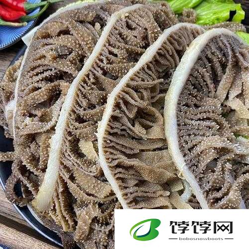 牛百叶是牛的什么部位：探究牛百叶背后的美食秘密