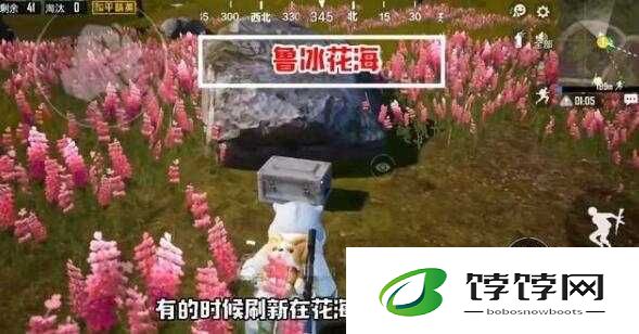 和平精英：山谷秘宝，揭秘隐藏的补给箱奇观