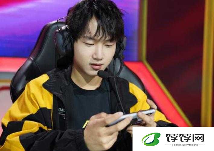 王者荣耀 fly 不打比赛的原因究竟是什么呢
