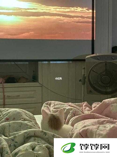 半夜适合偷偷看电视吗之我见