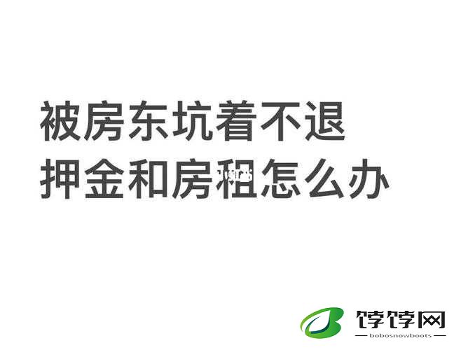 房东先生这是第 5 次付房租了：租房那些事儿