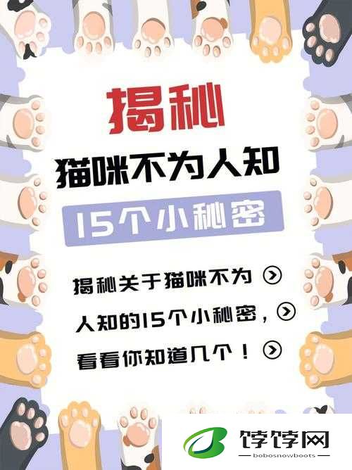 爆料吃瓜：揭秘不为人知的秘密