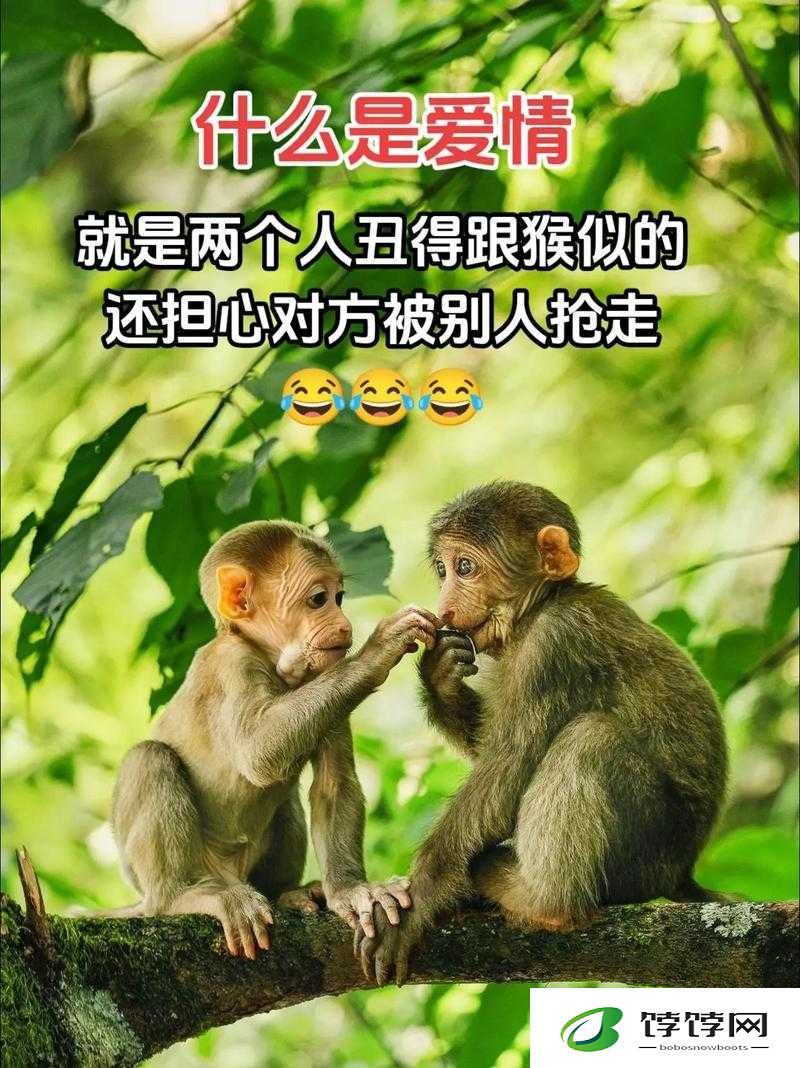 疯了一样的占有：爱情中的疯狂执念