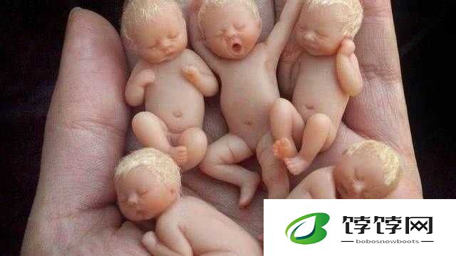 世界上最小 BB 有几个：惊人发现与背后的秘密