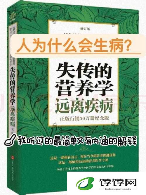 男友说想插秧了怎么回复：网络热门话题引发的思考