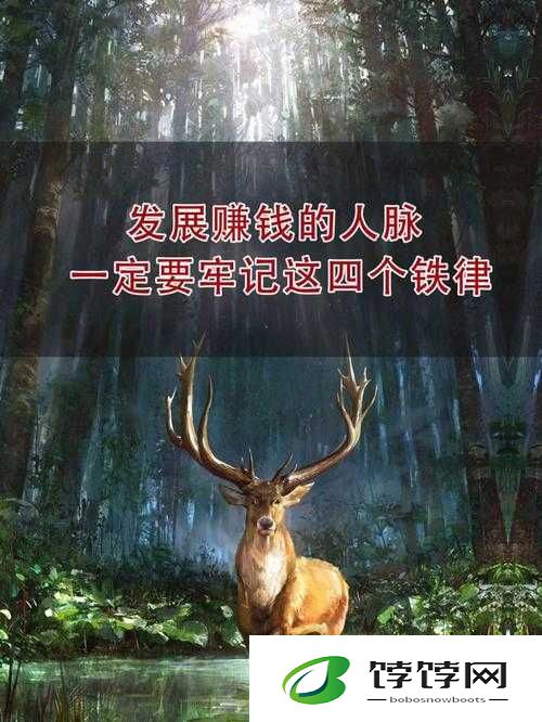 人和物动物交互在钱中的作用：探索人与自然的财富密码