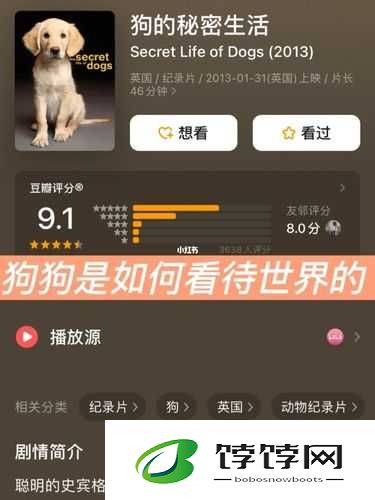 狗狗的东西又硬又烫：探究背后的秘密