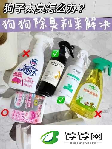 狗狗的东西又硬又烫又臭怎么办：惊人真相与有效解决之道