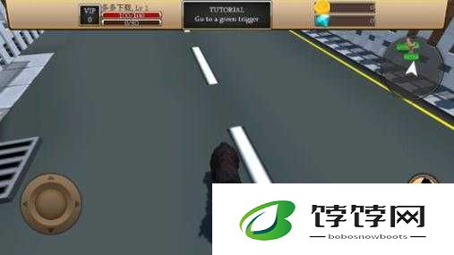 Zoom 与动物 Zoom：探索奇妙世界