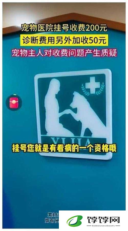 人狗胶配方大全免费：掀起宠物健康新潮流