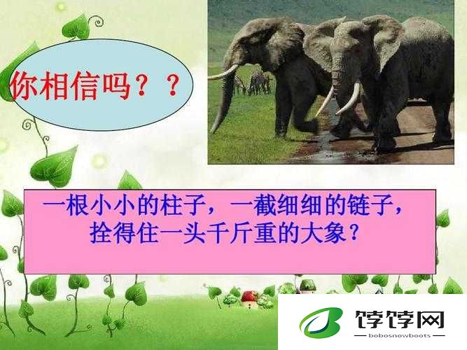 住客大人的心愿中 NPC 大象相关剧情详细介绍
