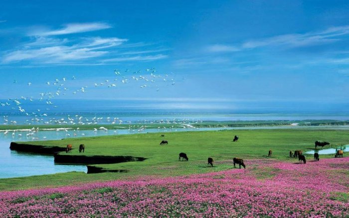 滕王阁荣登榜首，江西最值得去的十大景点