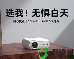 投影仪投屏无法正常使用的解决方法（投影仪无法投屏的原因及解决方案）