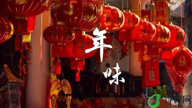 饽饽网