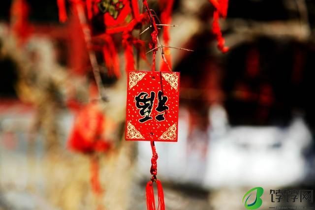 饽饽网