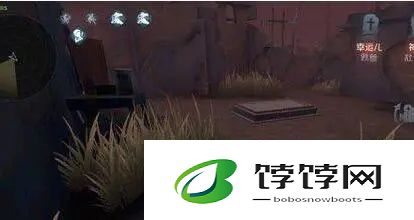 第五人格黑天鹅之羽抽取的奖励和效果是什么