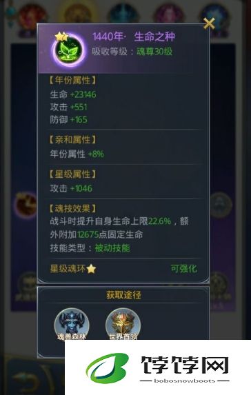 斗罗大陆柳二龙应该选择哪一种魂环进化路径