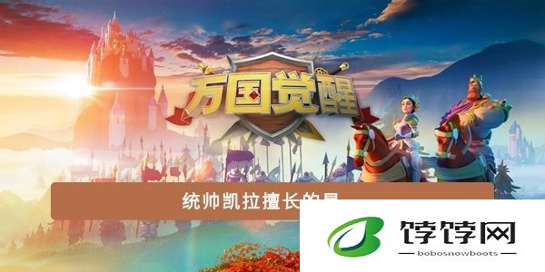 统帅凯拉擅长的是
