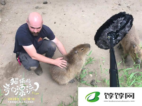奥斯卡双提名动画电影《猫猫的奇幻漂流》幕后特辑曝光 萌宠诞生记