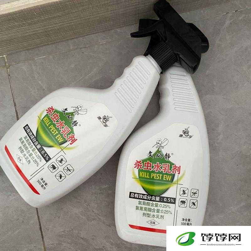 灏忚垶浣犵殑灏忓厰瀛愬ソ鐜- 其魅力之所在