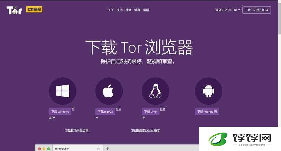 免费外国网站浏览器推荐：实用之选