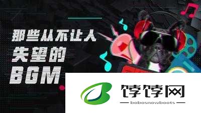 免费视频 bgm 大全：海量资源免费畅享