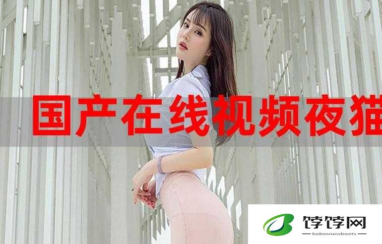 91 短视频安装极速版安全性探讨