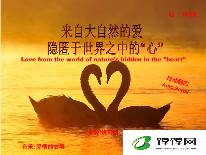 我爱搞 g52g.ppt：带你探索未知的世界