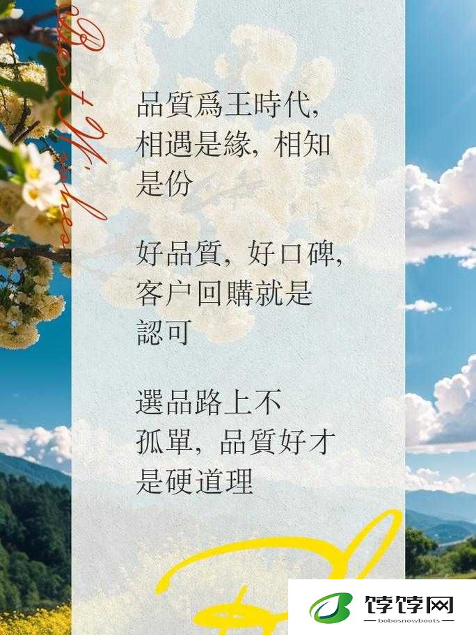 精品 999：品质卓越的精选好物
