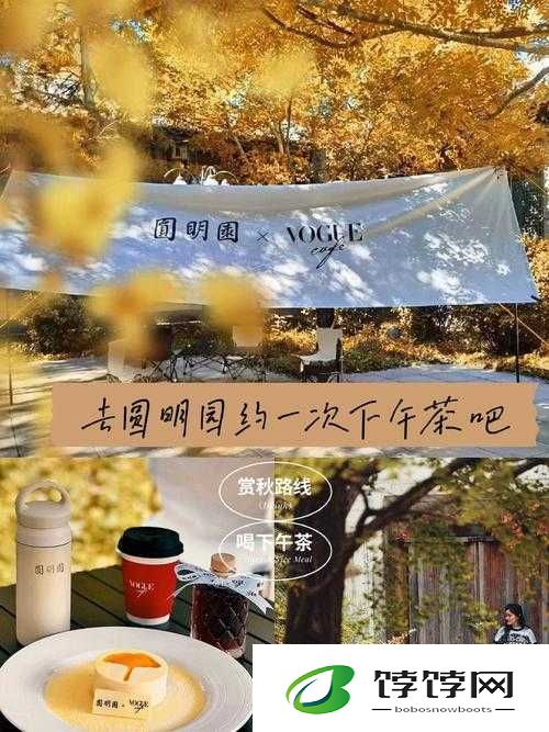 500 一晚同城约茶：邂逅浪漫之约