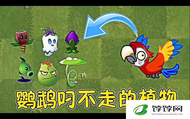 探索《植物大战僵尸2》神秘生物——深入剖析僵尸鹦鹉之独特特征与冒险旅程