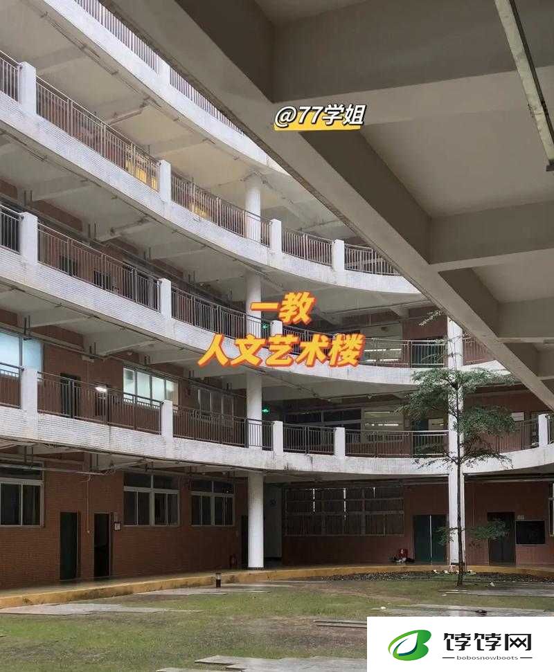 解读暴走神仙：职业属性与角色属性全方位剖析