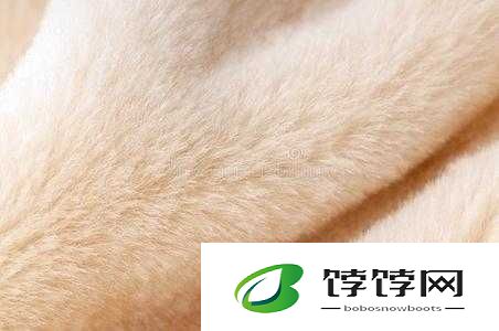 AAAA 级的毛皮最简单三个颜色：时尚界的新宠