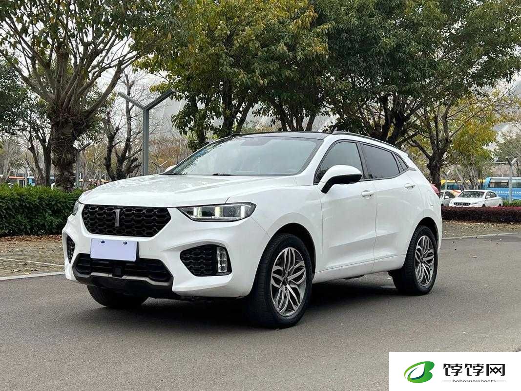 weyvv5国产的suv视频：国货之光 WEY VV5 国产 SUV 震撼来袭