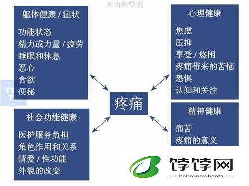 疼痛痛痛痛痛痛痛痛：探究疼痛背后的秘密与应对之策