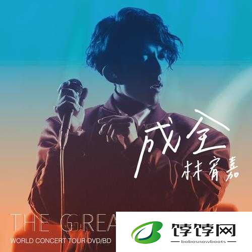 成全免费下载大全软件：畅享海量资源下载