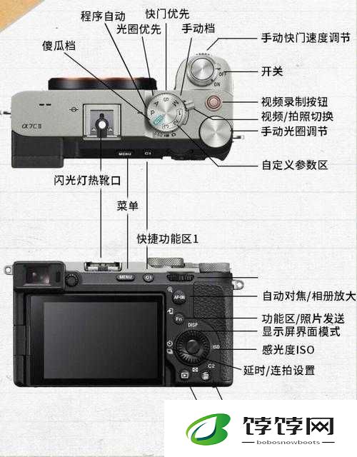 Zoom 人马 OKZOOM 功能介绍：全面解读