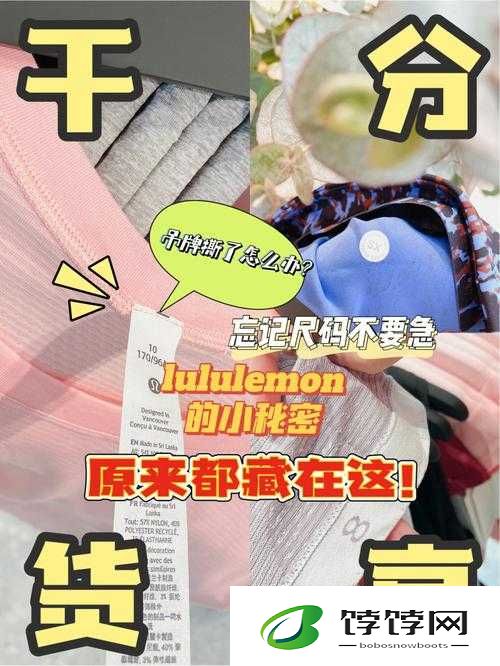 含羞草m码和欧洲码的区别是什么：揭秘时尚尺码背后的秘密